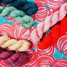 Load image into Gallery viewer, CITY BUMPKIN Mini Skein Set