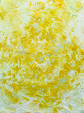 Load image into Gallery viewer, PARAKEET 1 - Hand Dyed Cotton Fabric