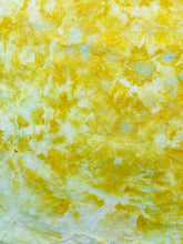 Load image into Gallery viewer, PARAKEET 1 - Hand Dyed Cotton Fabric
