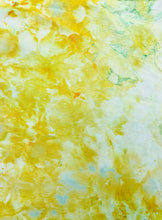 Load image into Gallery viewer, PARAKEET 1 - Hand Dyed Cotton Fabric
