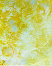 Load image into Gallery viewer, PARAKEET 1 - Hand Dyed Cotton Fabric