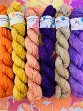 Load image into Gallery viewer, SQUIRREL JAM Mini Skein Set