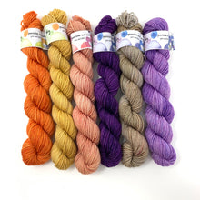 Load image into Gallery viewer, SQUIRREL JAM Mini Skein Set