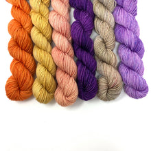 Load image into Gallery viewer, SQUIRREL JAM Mini Skein Set