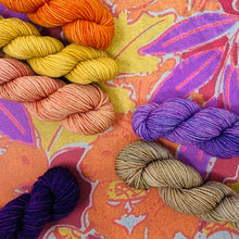 Load image into Gallery viewer, SQUIRREL JAM Mini Skein Set