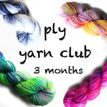 Load image into Gallery viewer, 3 Months Pancake and Lulu Yarn Club Membership