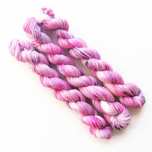 Load image into Gallery viewer, 12 Months Pancake and Lulu Mini Skein Club