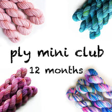 Load image into Gallery viewer, 12 Months Pancake and Lulu Mini Skein Club