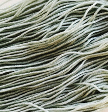 Load image into Gallery viewer, VERDIGRIS