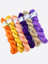 Load image into Gallery viewer, SQUIRREL JAM Mini Skein Set