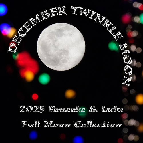 Full Moon Yarn & Fiber of the Month