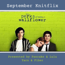Load image into Gallery viewer, KnitFlix Yarn &amp; Fiber Film Club