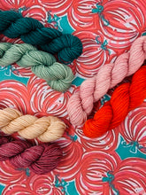 Load image into Gallery viewer, CITY BUMPKIN Mini Skein Set