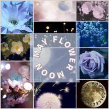 Load image into Gallery viewer, FLOWER MOON stitch marker progress keeper set