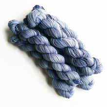 Load image into Gallery viewer, 12 Months Pancake and Lulu Mini Skein Club