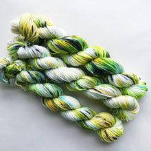 Load image into Gallery viewer, 12 Months Pancake and Lulu Mini Skein Club